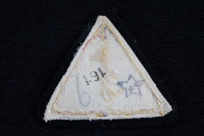 NSB - WA Arm Badge - Image 2