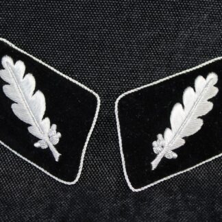 Waffen-SS Standartenführer (Colonel) bullion collar tabs