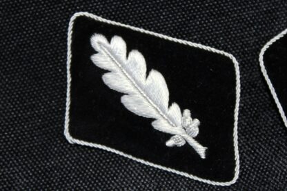 Waffen-SS Standartenführer (Colonel) bullion collar tabs - Image 2