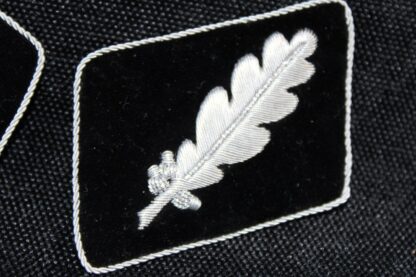 Waffen-SS Standartenführer (Colonel) bullion collar tabs - Image 3