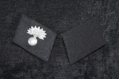 Waffen-SS Landstorm Nederland Collar tab pair - SS Riflemen